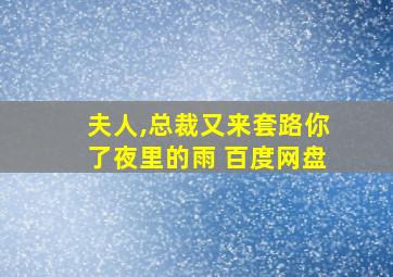 夫人,总裁又来套路你了夜里的雨 百度网盘